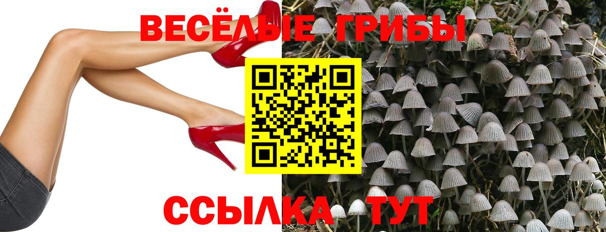 Белая Калитва  Псилоцибиновые грибы GOLDEN TEACHER  Вход с VPN  купить наркотик  Псилоцибиновые грибы Magic Shrooms 