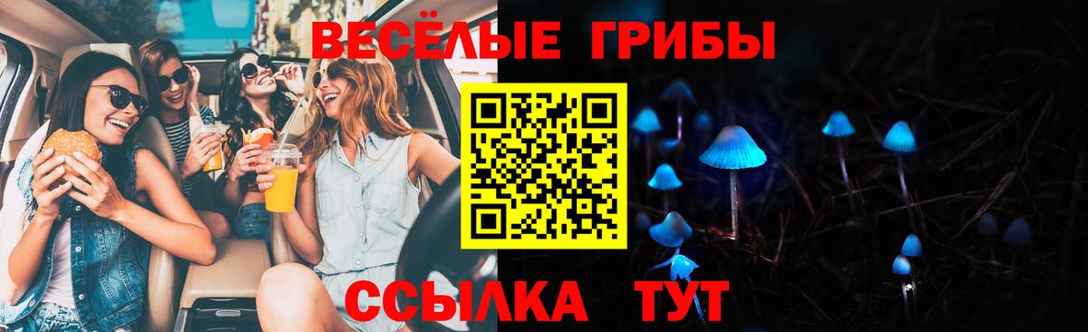 Галлюциногенные грибы Cubensis Белая Калитва